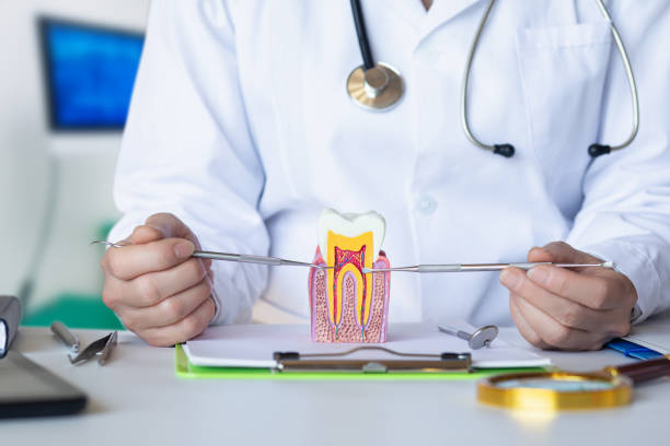 Best Emergency Broken Tooth Repair in Cresco, IA